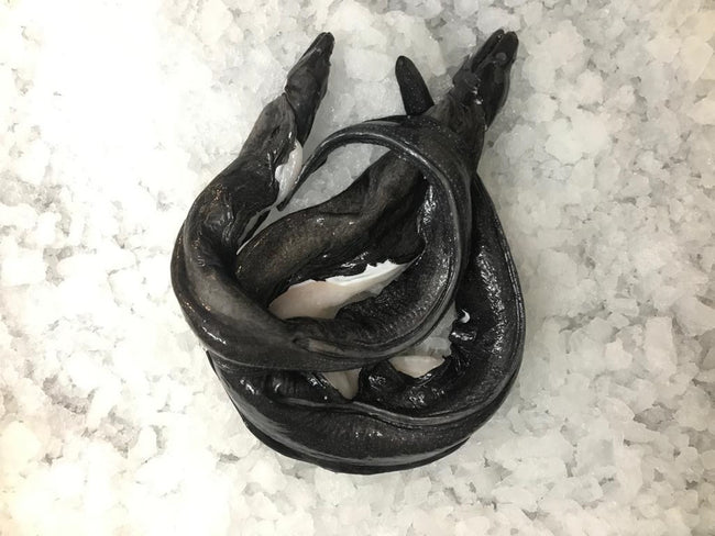 Morena (Morena Negra)