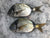 Mojarra (Seifía / Seifío)